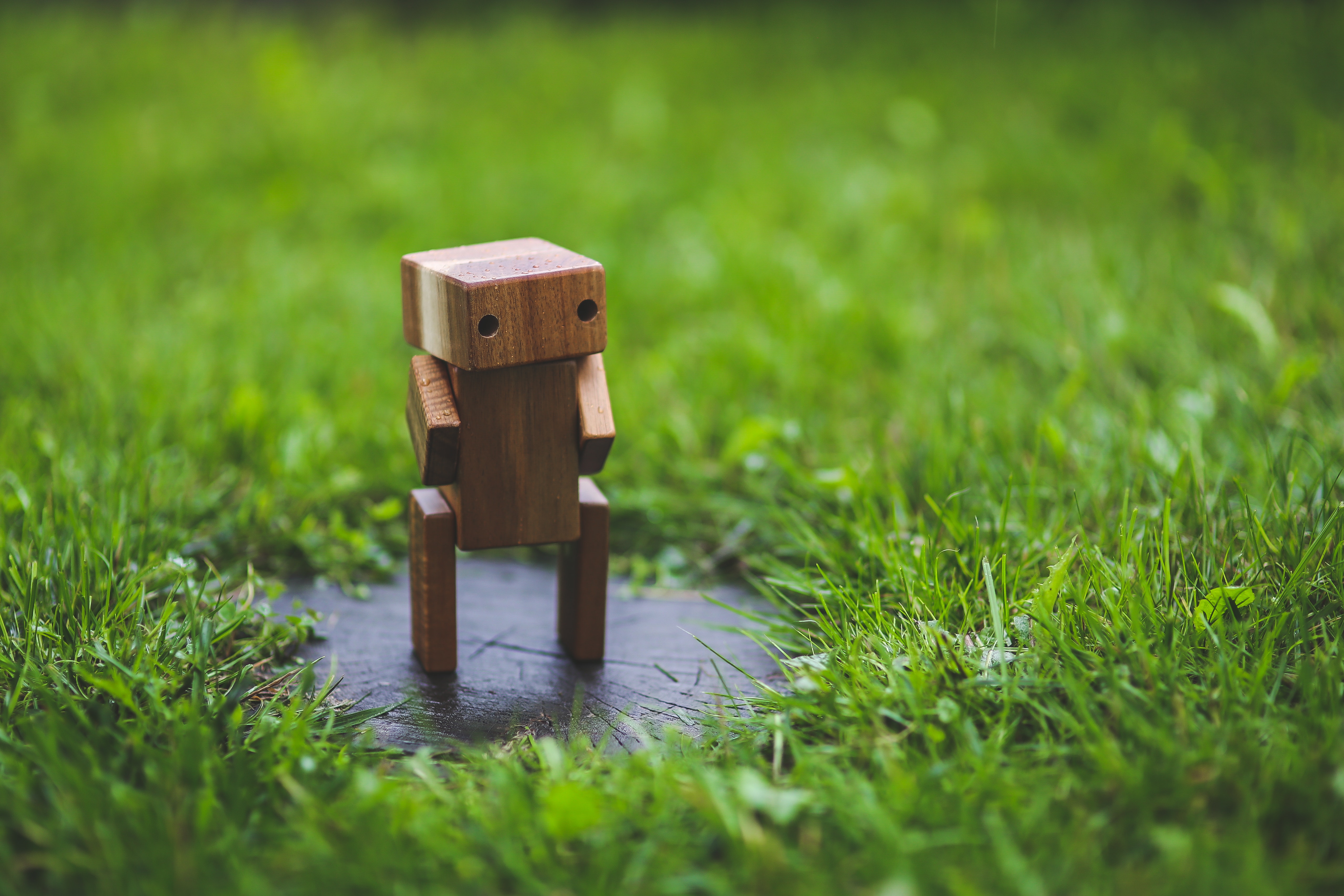 Wooden robot in grass